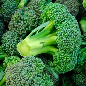 Brócoli: Un escudo antioxidante