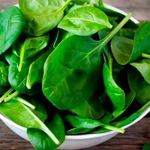 Espinacas: Poderoso antioxidante verde