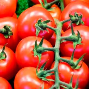 Tomates: Licopeno en acción